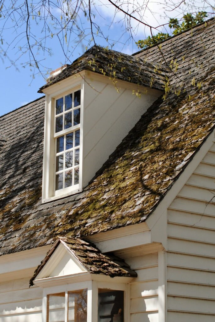 Roof Moss on wood shake roof in Williamsburg, VA